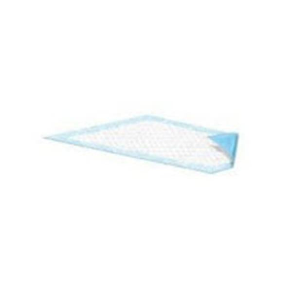 Underpad Drisorb Unisex Small 23x36